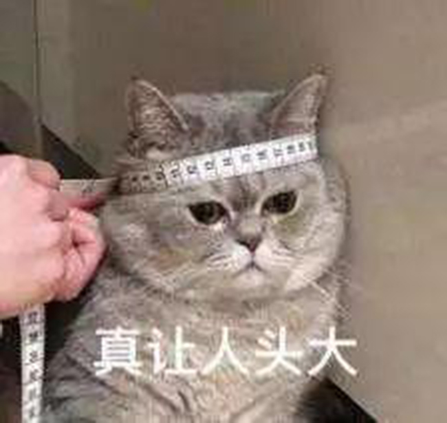 無人警務自助終端落戶阜陽機場！忘帶身份證也不用急了